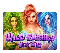 Persentase RTP untuk Wild Fairies oleh Joker Gaming